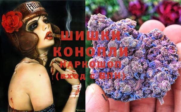 стаф Арсеньев