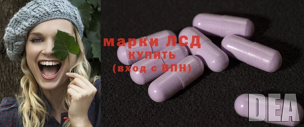 стаф Арсеньев