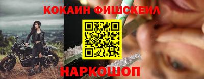 дмт Аргун