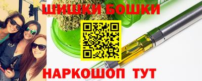 дмт Аргун