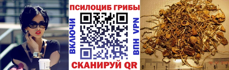 ОМГ ОМГ   Асбест  Псилоцибиновые грибы ЛСД 